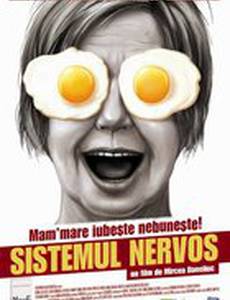 Нервная система