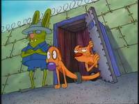 Кадр Котопес