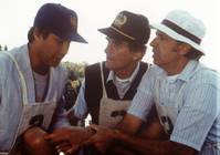 Кадр Забавная ферма