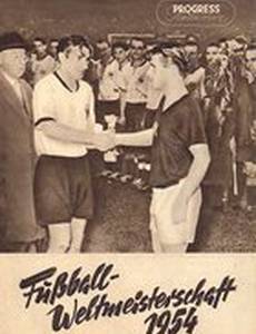Кубок мира по футболу 1954 года