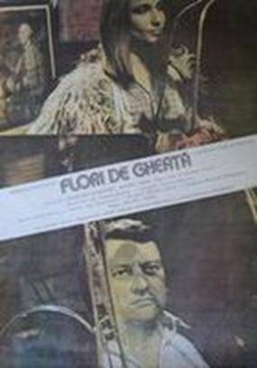 Ледяные цветы