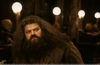 Кадр Гарри Поттер и философский камень