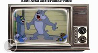 Мультфильм 