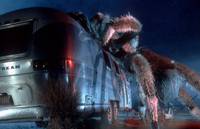 Кадр Атака пауков