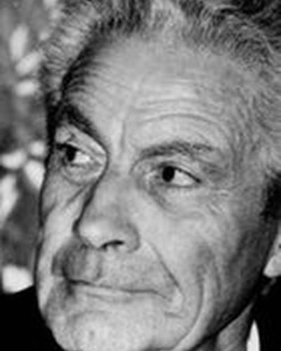 Саша Вьерни фото