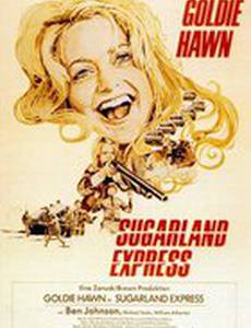 Шугарлендский экспресс