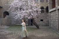 Кадр Дракула