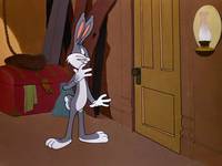 Кадр Кролик ныряющий с высоты