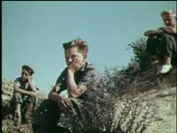 Кадр Неразлучные друзья