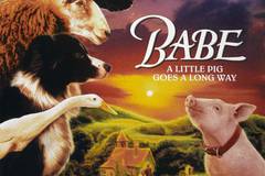 Бэйб: Четвероногий малыш