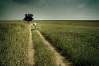 Кадр Клон возвращается домой