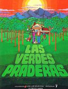 Зеленые лужайки