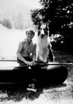 Джон Провост фото