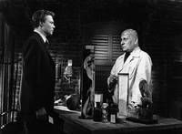 Кадр Альрауне