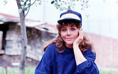 Воспитание «Дикой розой»: как мыльные оперы изменили наши жизни