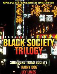 За гранью дозволенного