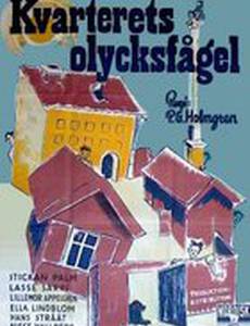 Kvarterets olycksfågel