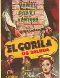 Привет вам от Гориллы