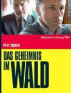 Das Geheimnis im Wald