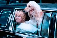 Кадр Протокол