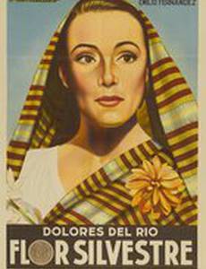 Дикий цветок