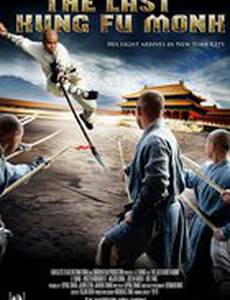 Последний боец Шаолиня