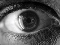 Кадр Метрополис