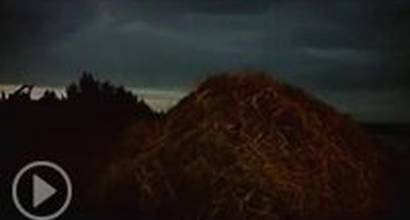 Фрагмент №2