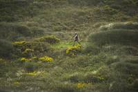 Кадр Ночной администратор