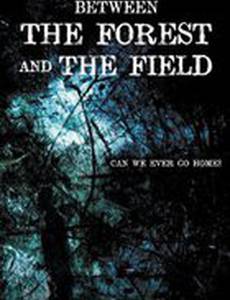 Между лесом и полем