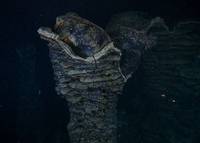 Кадр Вулканы в морских глубинах