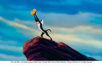 Кадр Король Лев