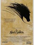 Постер из фильма "Черный скакун" - 1