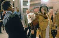 Кадр Двойные неприятности