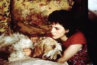 Кадр Невыносимая легкость бытия