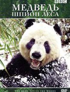 Медведь: Шпион леса