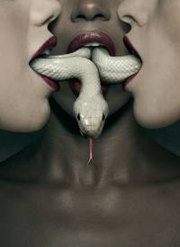 Постер Американская история ужасов