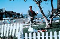 Кадр Мой голубой рай