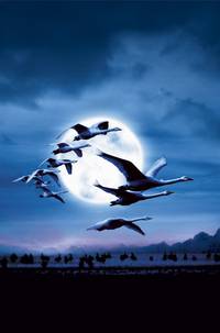 Постер Птицы