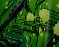 Кадр Эксперименты Лэйн