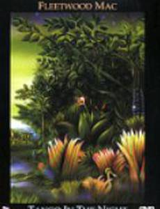 Fleetwood Mac: Tango in the Night (видео)