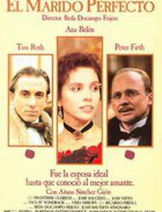 Идеальный муж