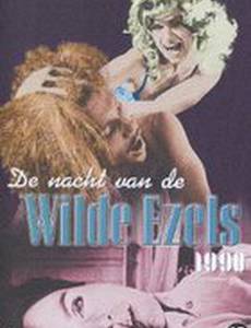De nacht van de wilde ezels