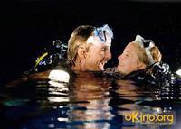 Кадр Золото дураков