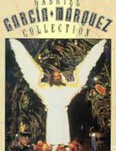 Очень старый человек с огромными крыльями