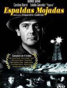 Влажные спины