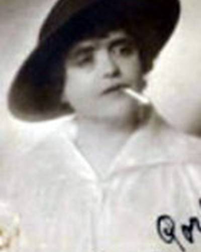 Роза Портен фото