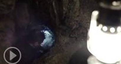 Фрагмент (русский дублированный) 