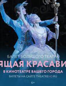 Спящая красавица