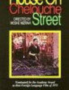 Дом на улице Шлуш